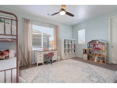 6057 Moran Rd, Timnath, CO 80547 photo 17
