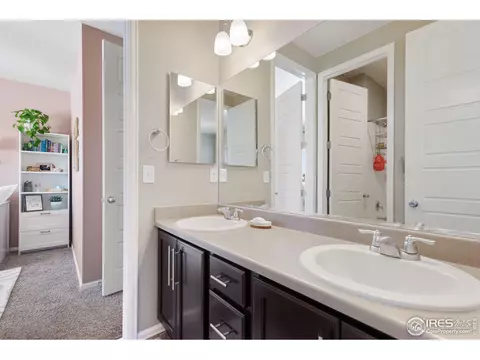 6057 Moran Rd, Timnath, CO 80547 photo 20