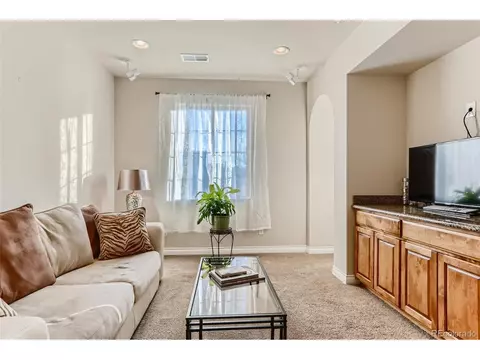 7942 E 29th Pl, Denver, CO 80238 photo 13