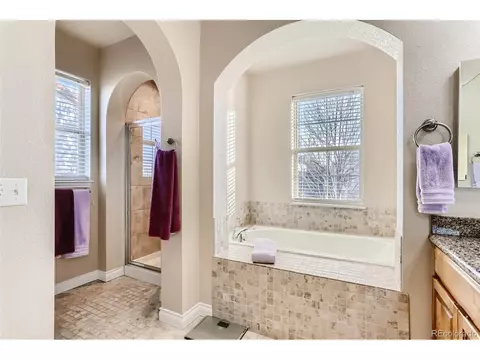 7942 E 29th Pl, Denver, CO 80238 photo 18