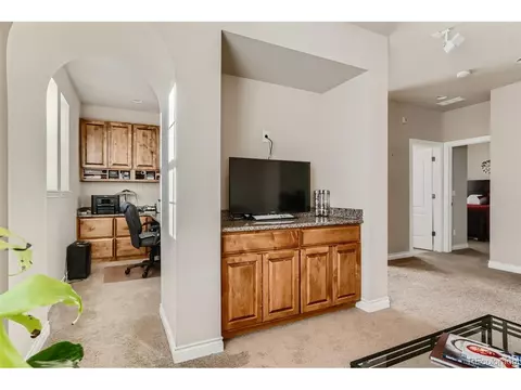 7942 E 29th Pl, Denver, CO 80238 photo 12