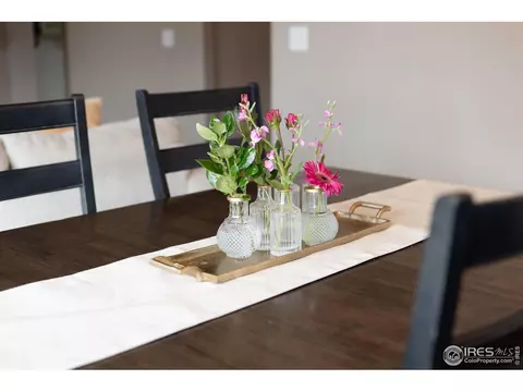 5522 Osbourne Dr, Windsor, CO 80550 photo 30