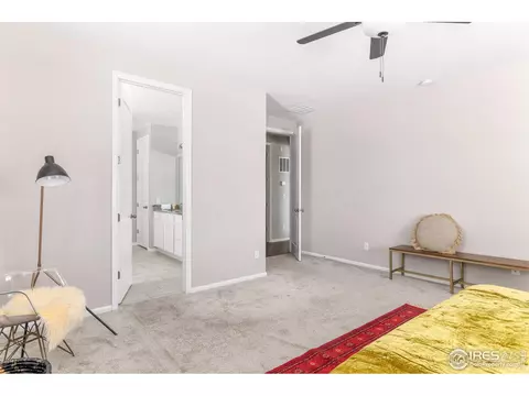 1855 Paley Dr, Windsor, CO 80550 photo 18