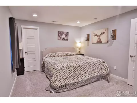 4551 Bishopsgate Dr, Windsor, CO 80550 photo 29