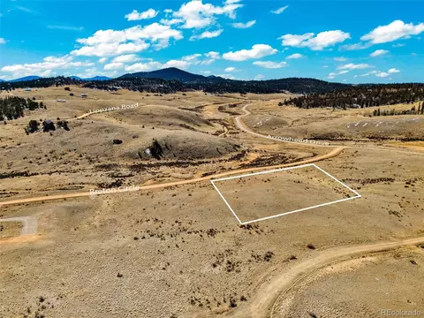 2954 Breton Cir, Como, CO 80432 photo 25