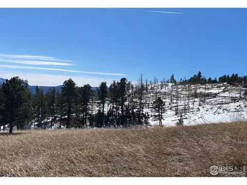 55 Gold Trl, Boulder, CO 80302 photo 11