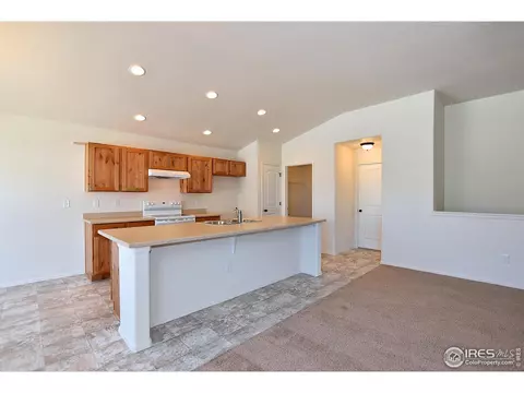 901 Greenbrook Dr, Windsor, CO 80550 photo 11