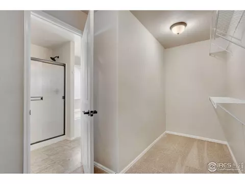 2172 Grain Bin Ct, Windsor, CO 80550 photo 29