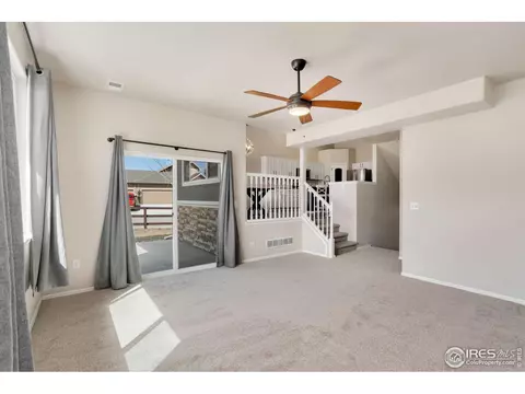 2172 Grain Bin Ct, Windsor, CO 80550 photo 18