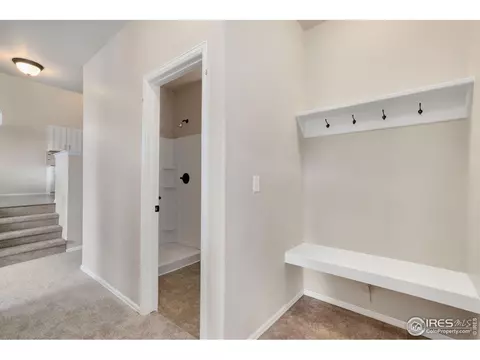 2172 Grain Bin Ct, Windsor, CO 80550 photo 20