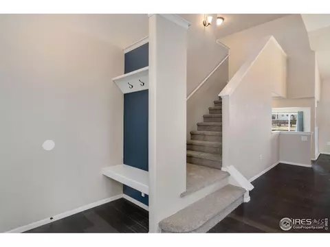 2172 Grain Bin Ct, Windsor, CO 80550 photo 5