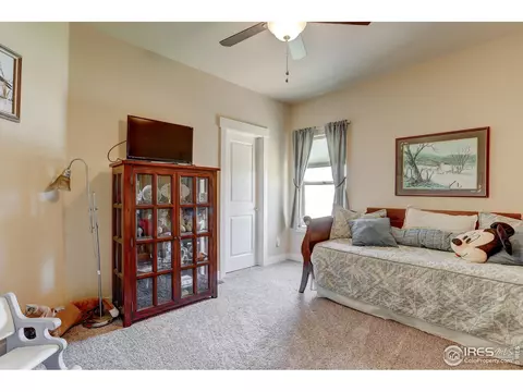 5246 Eagle Meadow Dr, Dacono, CO 80514 photo 17