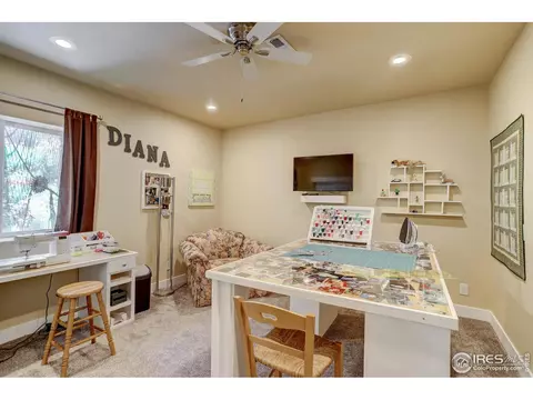 5246 Eagle Meadow Dr, Dacono, CO 80514 photo 21