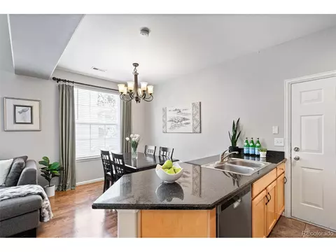 8893 E 24th Pl #101, Denver, CO 80238 photo 11