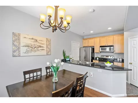 8893 E 24th Pl #101, Denver, CO 80238 photo 17