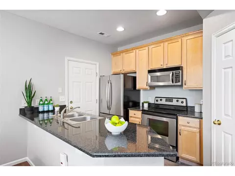 8893 E 24th Pl #101, Denver, CO 80238 photo 10