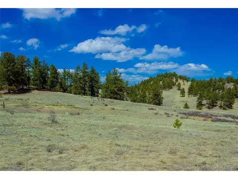 1457 County Rd 12, Florissant, CO 80816