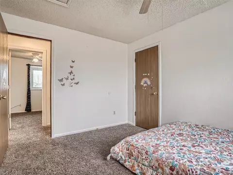 19542 E 42nd Ave, Denver, CO 80249 photo 19
