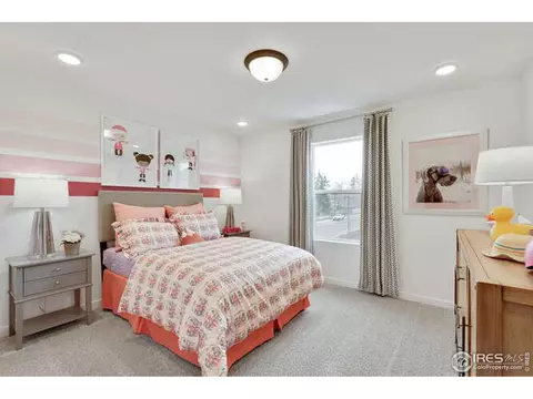5210 2nd Ave, Timnath, CO 80547 photo 20