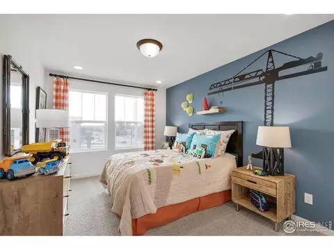 5210 2nd Ave, Timnath, CO 80547 photo 19