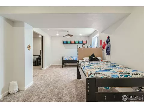 204 Cobble Dr, Windsor, CO 80550 photo 22
