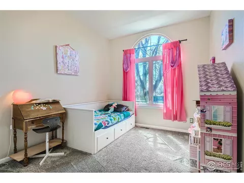 204 Cobble Dr, Windsor, CO 80550 photo 17