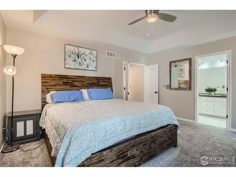 204 Cobble Dr, Windsor, CO 80550 photo 13