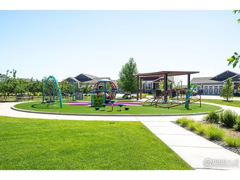1642 Rise Dr, Windsor, CO 80550 photo 38