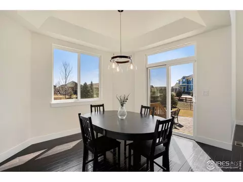1973 Captiva Ct, Windsor, CO 80550 photo 14