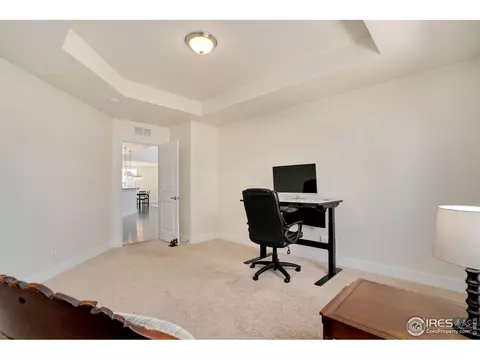 1973 Captiva Ct, Windsor, CO 80550 photo 20