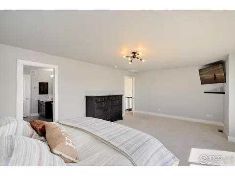 1973 Captiva Ct, Windsor, CO 80550 photo 25