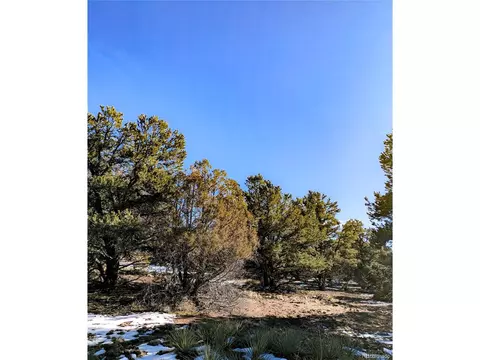 4229 Radiant, Crestone, CO 81131 photo 8