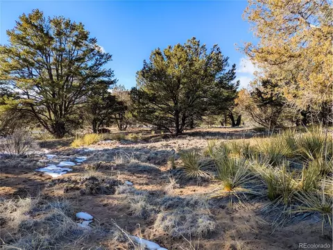 4229 Radiant, Crestone, CO 81131 photo 5