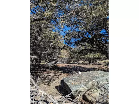 4229 Radiant, Crestone, CO 81131 photo 11