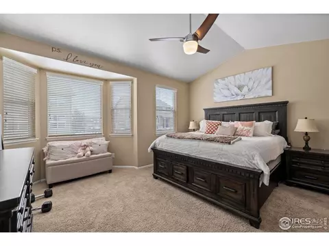 1918 E Seadrift Dr, Windsor, CO 80550 photo 15