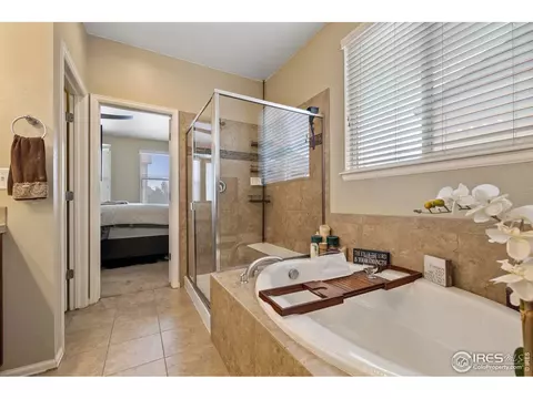 1918 E Seadrift Dr, Windsor, CO 80550 photo 17