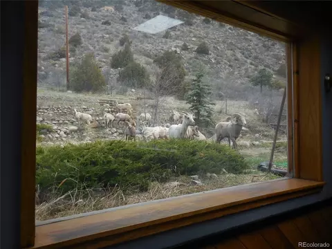 Other - 26 Avery St, Empire, CO 80438 photo 12 of 16