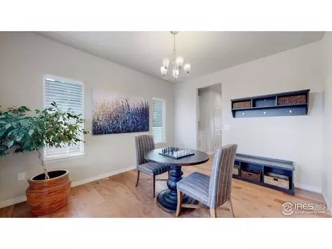 5517 Bexley Dr, Windsor, CO 80550 photo 6