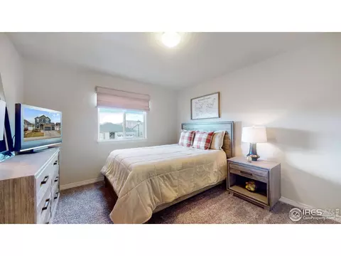 5517 Bexley Dr, Windsor, CO 80550 photo 13