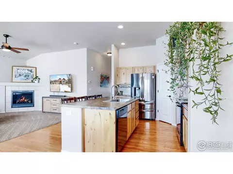 2147 Grain Bin Dr, Windsor, CO 80550 photo 13