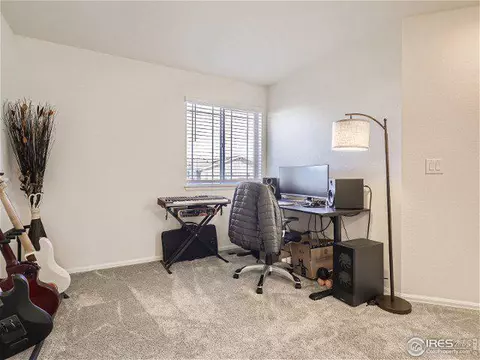 14014 Jackson St, Thornton, CO 80602 photo 24