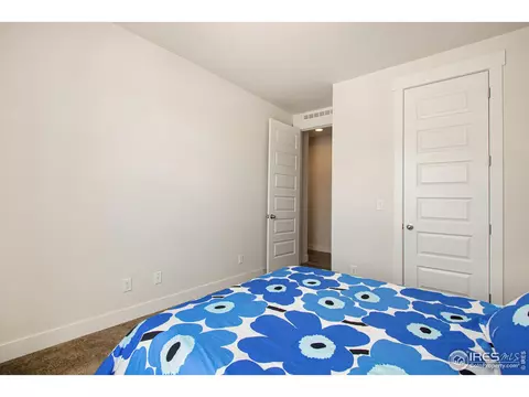 2141 Setting Sun Dr, Windsor, CO 80550 photo 10