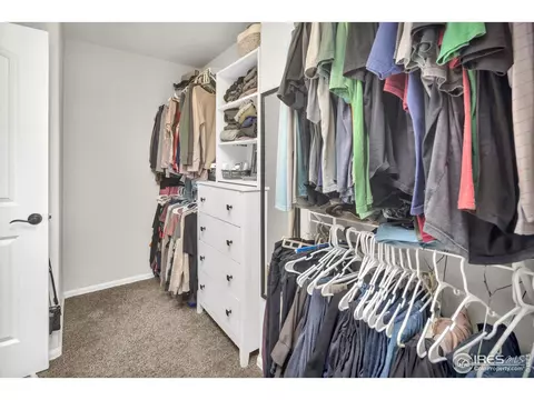 2043 Reliance Dr, Windsor, CO 80550 photo 20