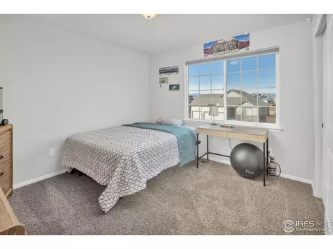 2043 Reliance Dr, Windsor, CO 80550 photo 22
