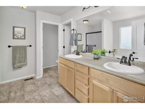 2043 Reliance Dr, Windsor, CO 80550 photo 18