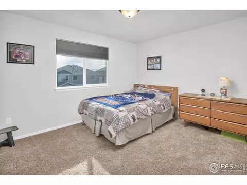 2043 Reliance Dr, Windsor, CO 80550 photo 25