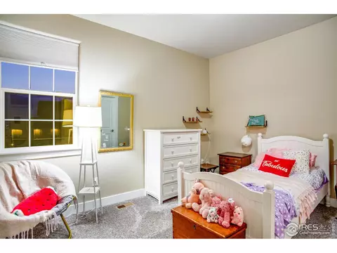 1400 Tahr Dr, Severance, CO 80550 photo 22