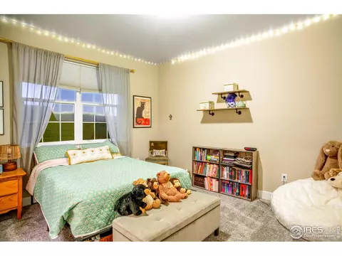 1400 Tahr Dr, Severance, CO 80550 photo 19