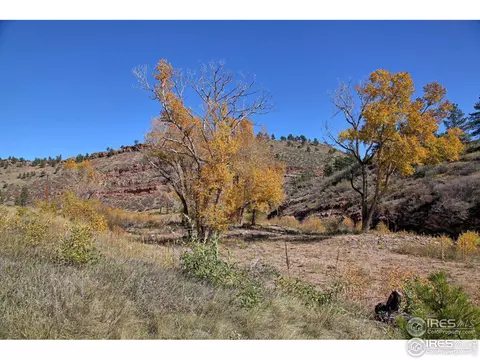 1115 Vision Way, Lyons, CO 80540 photo 3