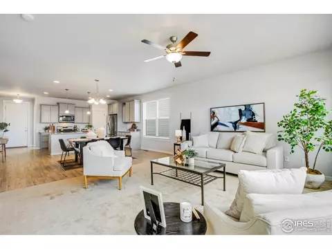 2142 Bouquet Dr, Windsor, CO 80550 photo 12
